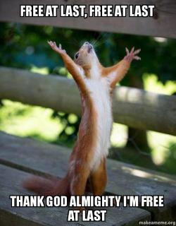 free-at-last-7bgk4u-jpg.69122