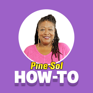 www.pinesol.com