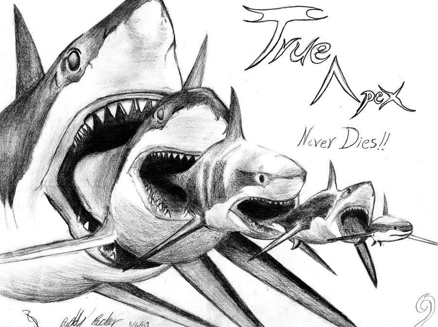Shark-Eat-Shark-Drawing.jpg